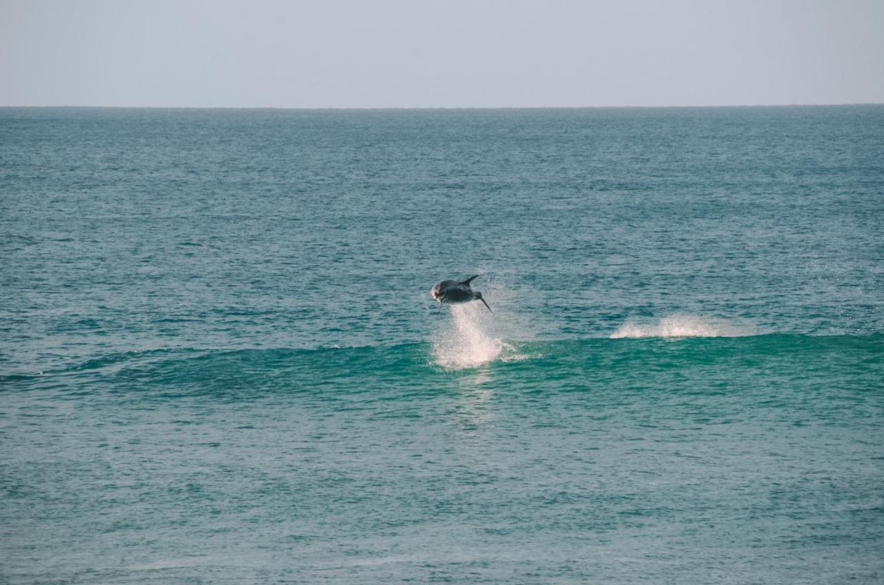 Aotearoa Surf Eco Pods Hotel Te Arai Eksteriør billede